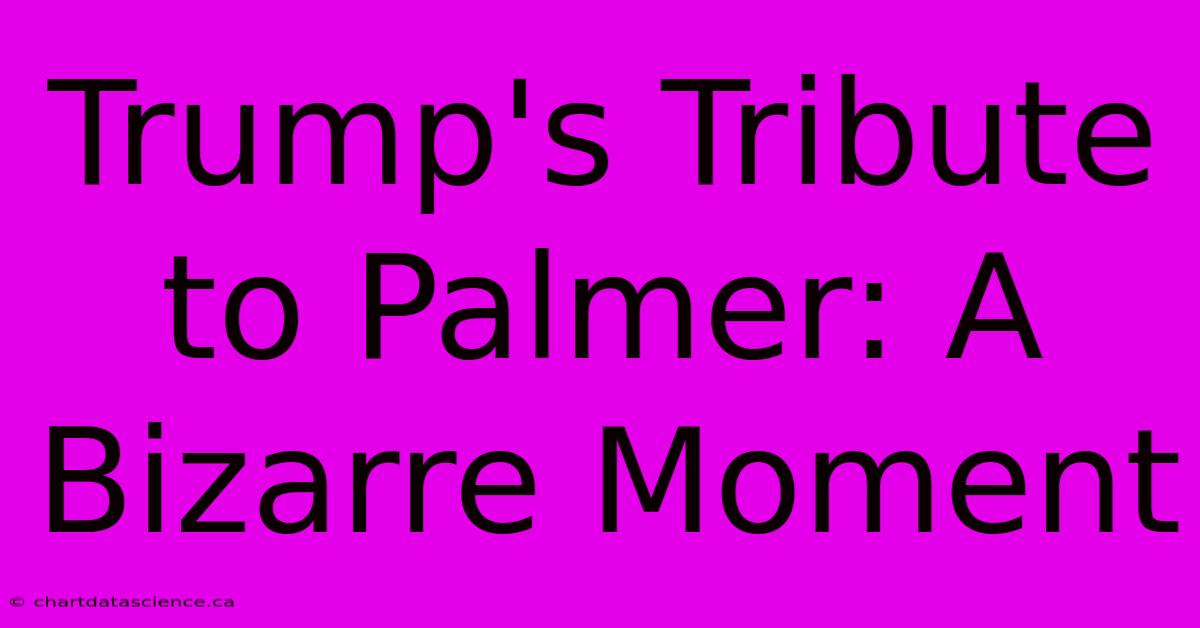 Trump's Tribute To Palmer: A Bizarre Moment