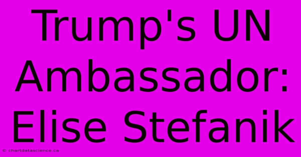 Trump's UN Ambassador: Elise Stefanik