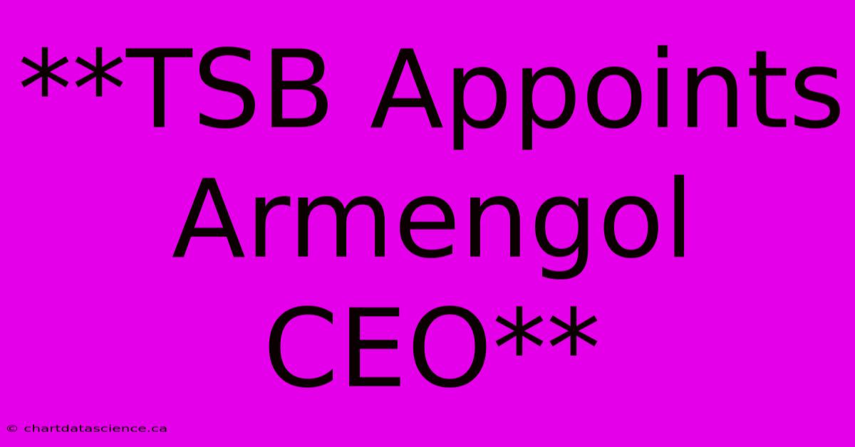 **TSB Appoints Armengol CEO**