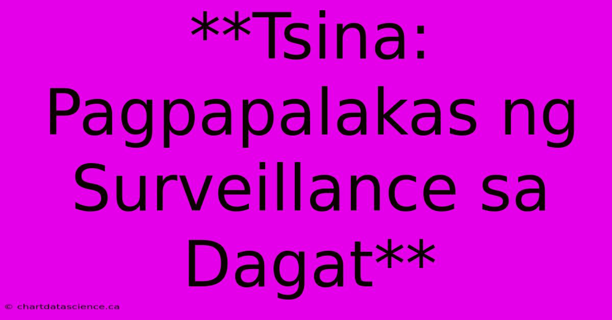 **Tsina: Pagpapalakas Ng Surveillance Sa Dagat** 