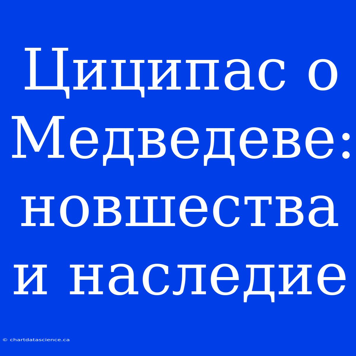 Циципас О Медведеве: Новшества И Наследие