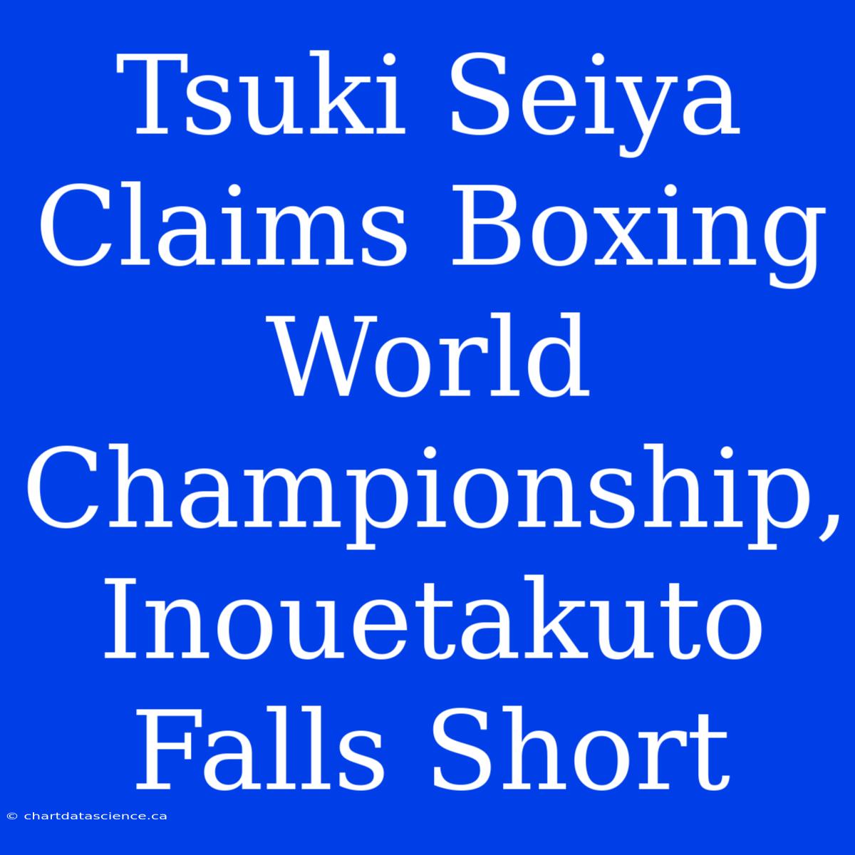 Tsuki Seiya Claims Boxing World Championship, Inouetakuto Falls Short