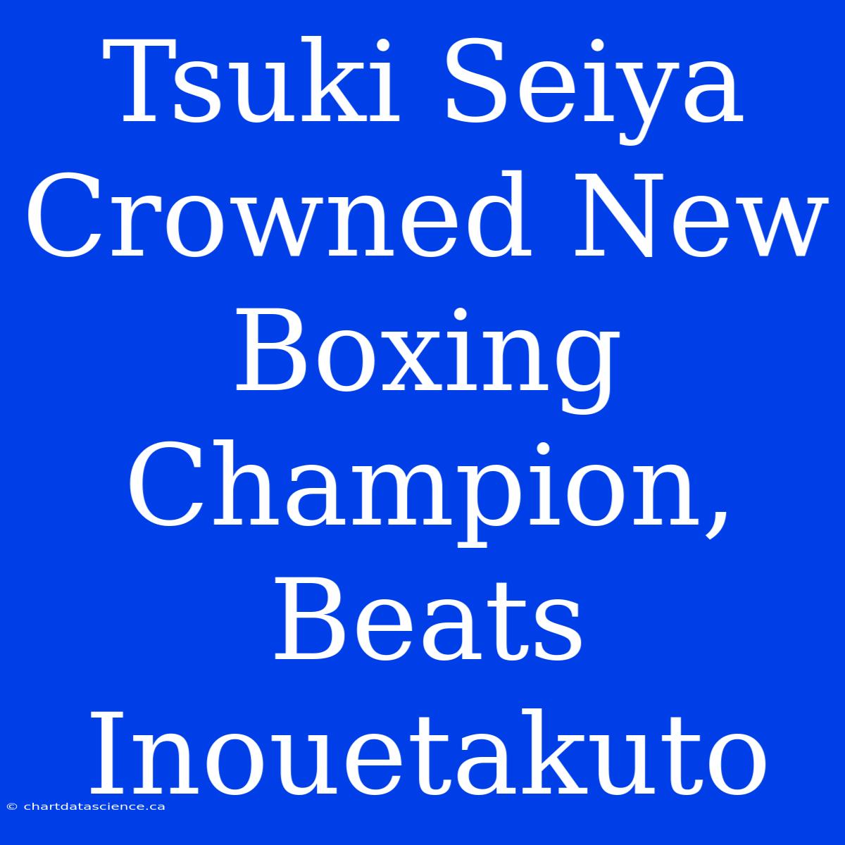 Tsuki Seiya Crowned New Boxing Champion, Beats Inouetakuto