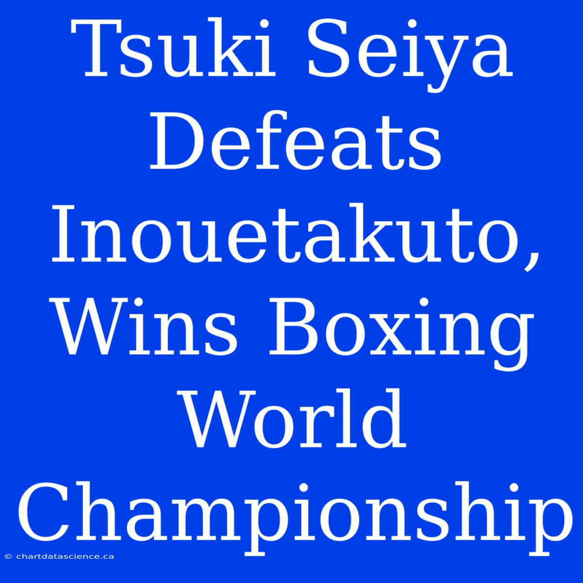 Tsuki Seiya Defeats Inouetakuto, Wins Boxing World Championship