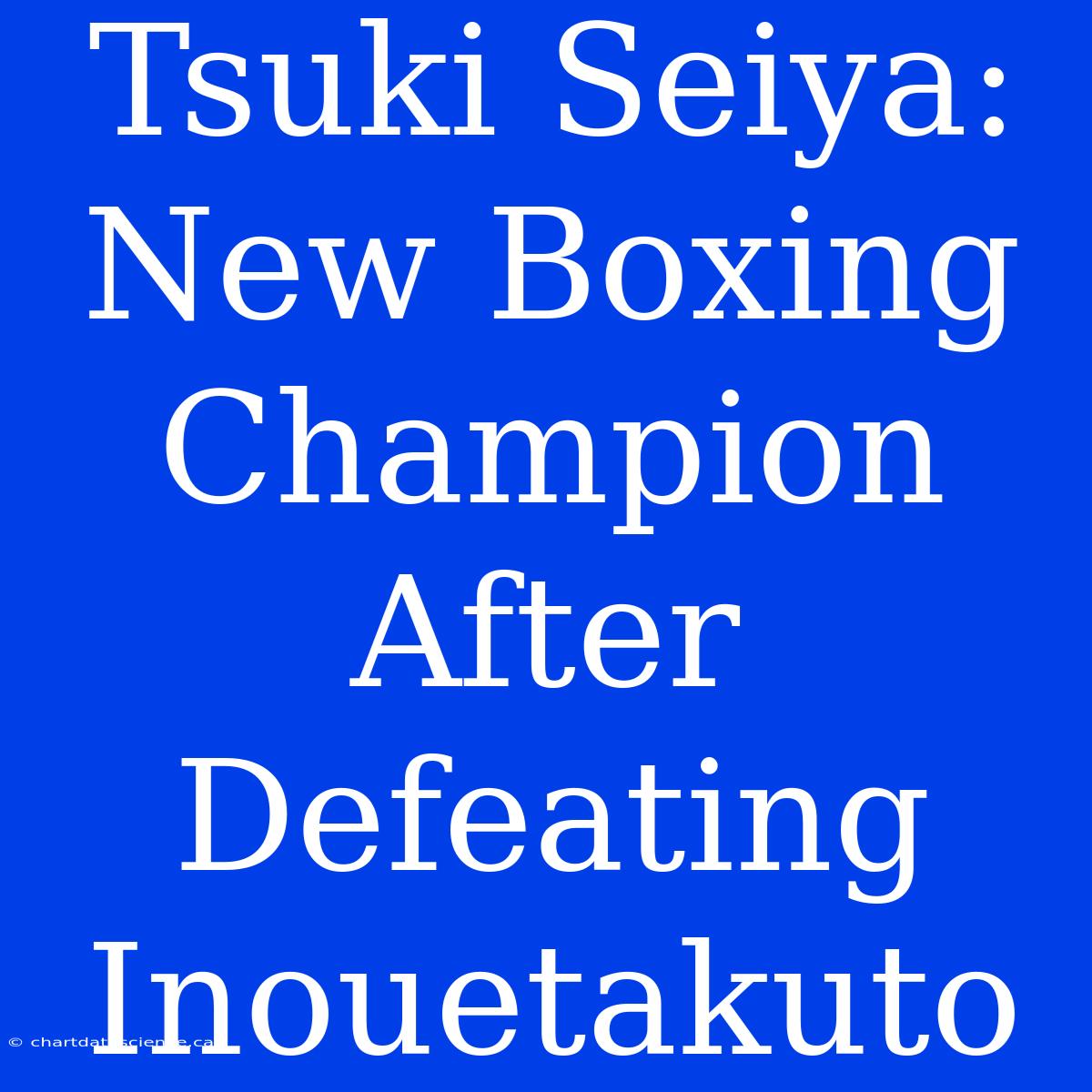 Tsuki Seiya: New Boxing Champion After Defeating Inouetakuto