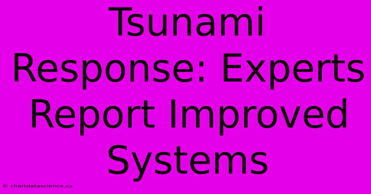 Tsunami Response: Experts Report Improved Systems