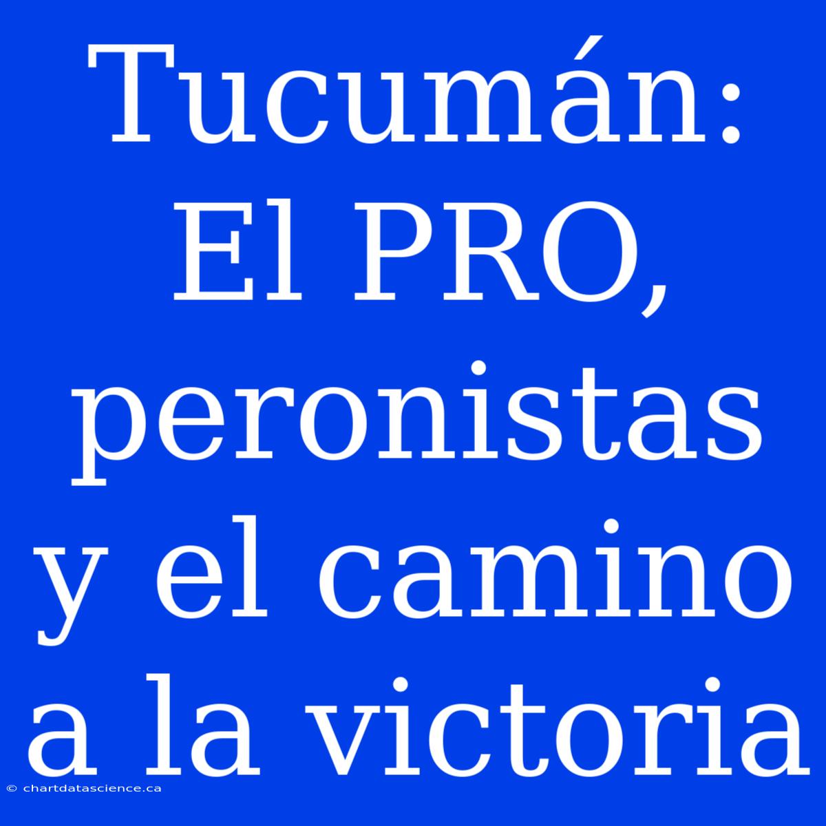 Tucumán: El PRO, Peronistas Y El Camino A La Victoria