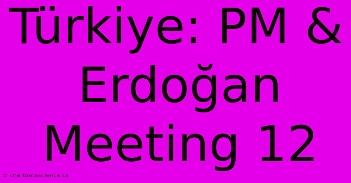 Türkiye: PM & Erdoğan Meeting 12