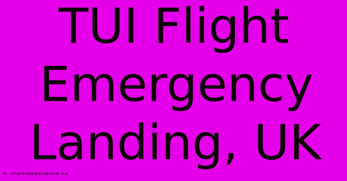 TUI Flight Emergency Landing, UK