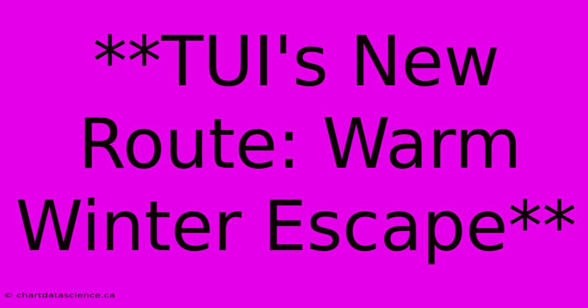 **TUI's New Route: Warm Winter Escape**