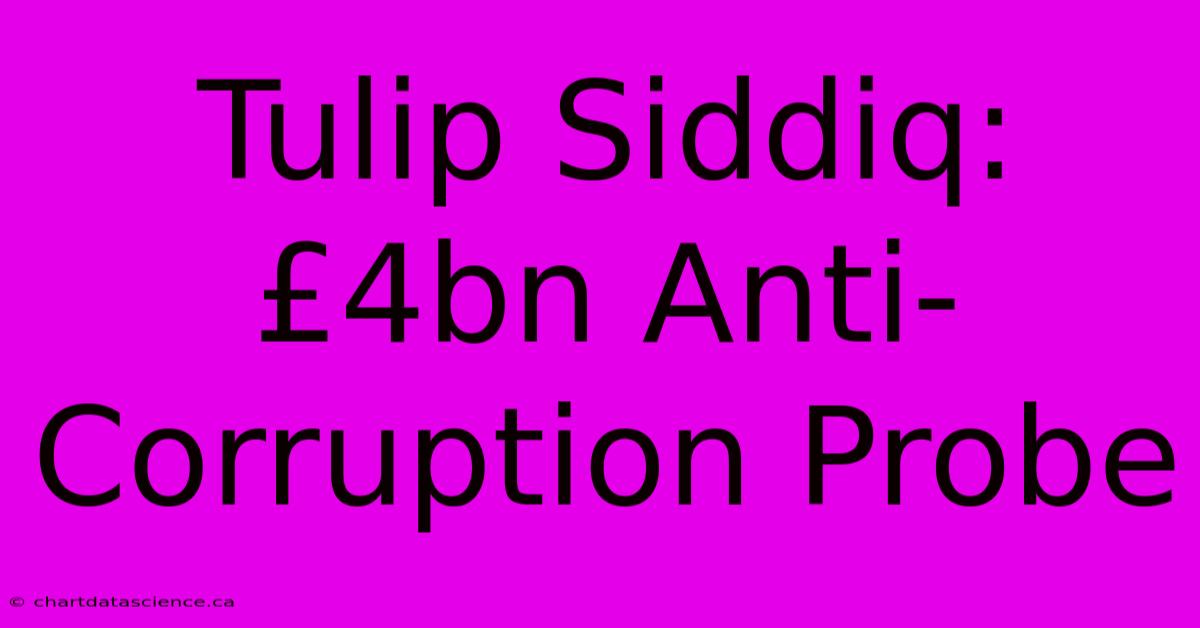 Tulip Siddiq: £4bn Anti-Corruption Probe