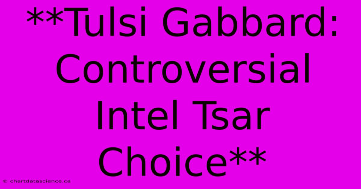 **Tulsi Gabbard: Controversial Intel Tsar Choice**