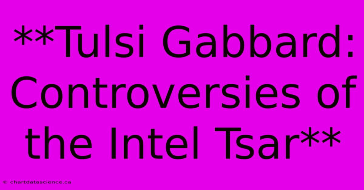 **Tulsi Gabbard: Controversies Of The Intel Tsar** 