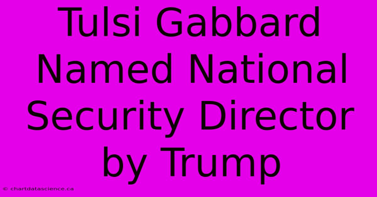 Tulsi Gabbard Named National Security Director By Trump