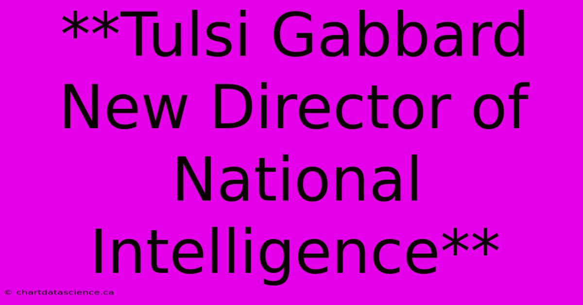 **Tulsi Gabbard New Director Of National Intelligence**