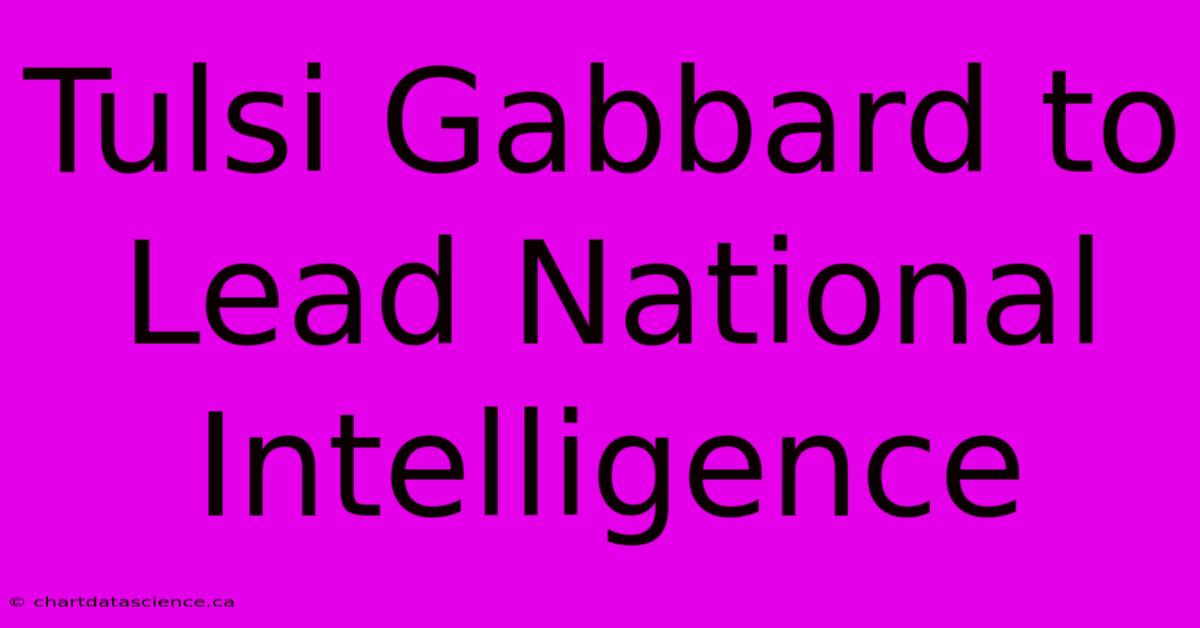 Tulsi Gabbard To Lead National Intelligence