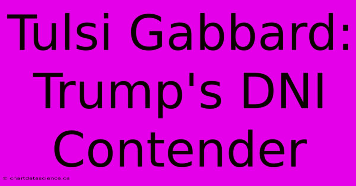 Tulsi Gabbard: Trump's DNI Contender 