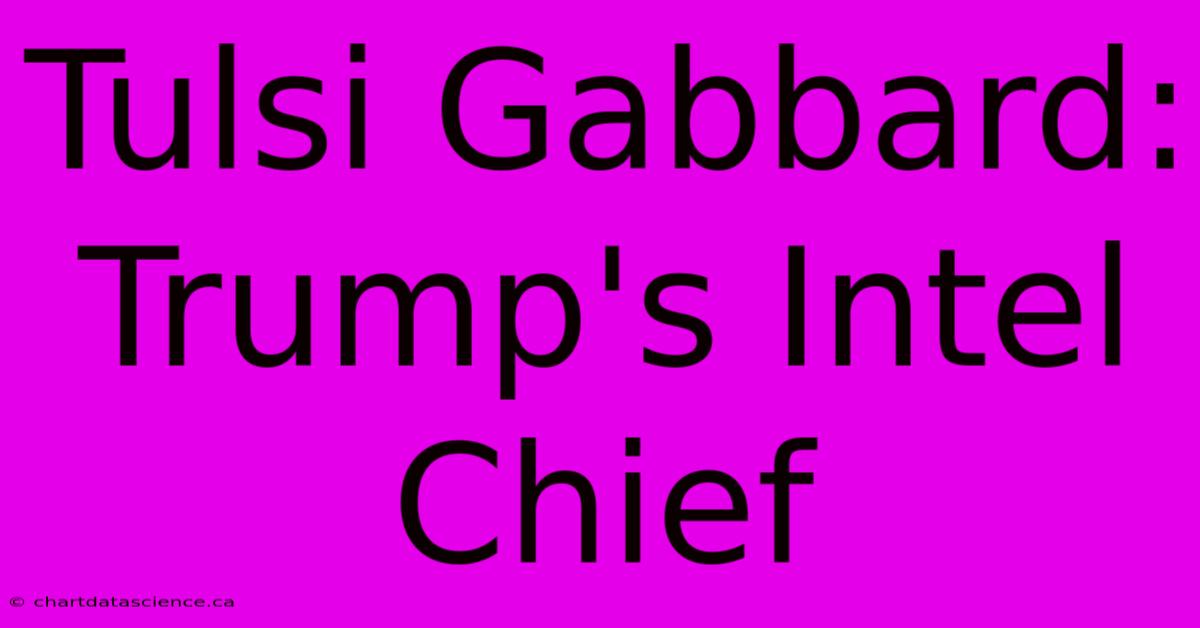 Tulsi Gabbard: Trump's Intel Chief 