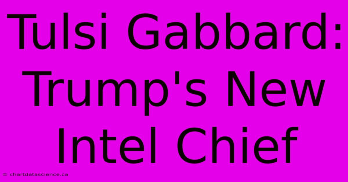 Tulsi Gabbard: Trump's New Intel Chief 