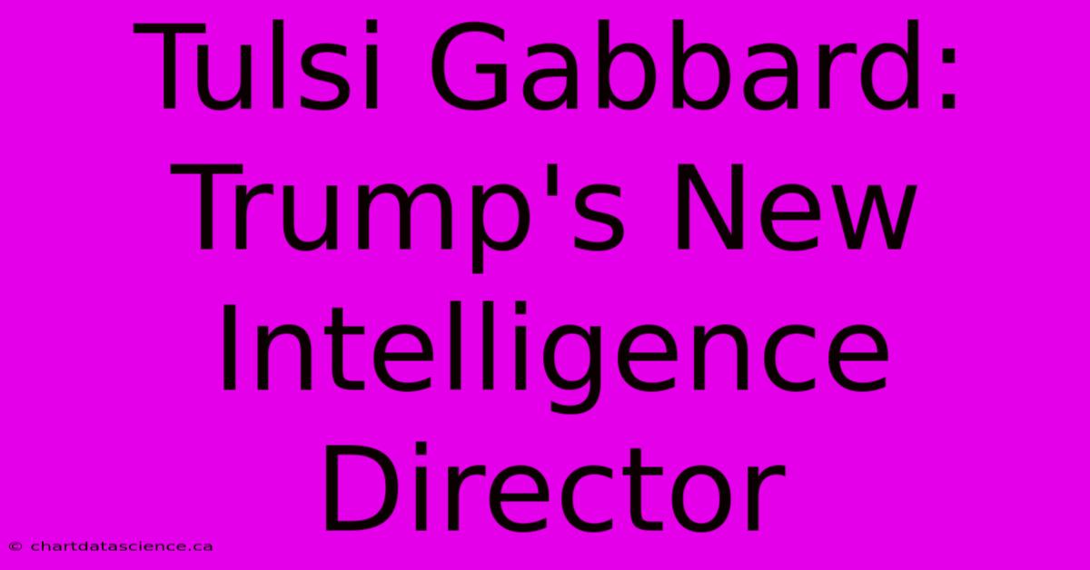 Tulsi Gabbard: Trump's New Intelligence Director