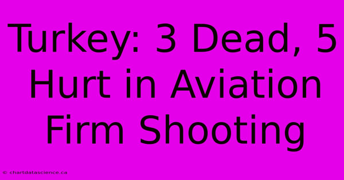 Turkey: 3 Dead, 5 Hurt In Aviation Firm Shooting 