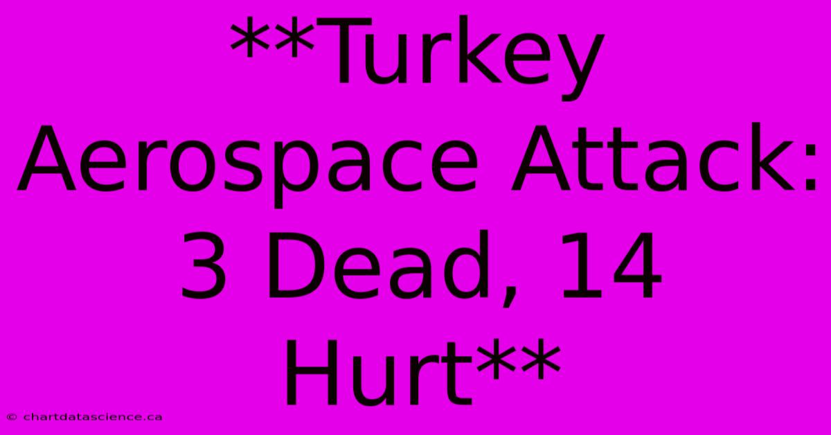 **Turkey Aerospace Attack: 3 Dead, 14 Hurt**