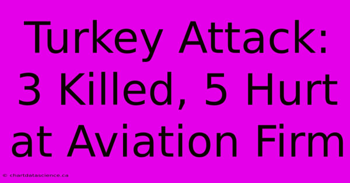 Turkey Attack: 3 Killed, 5 Hurt At Aviation Firm