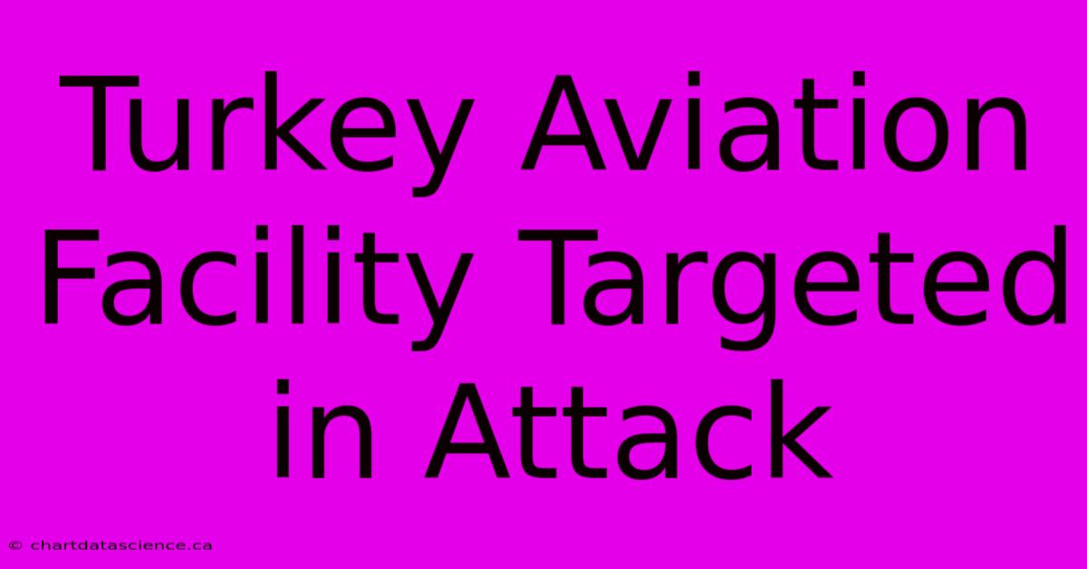 Turkey Aviation Facility Targeted In Attack 