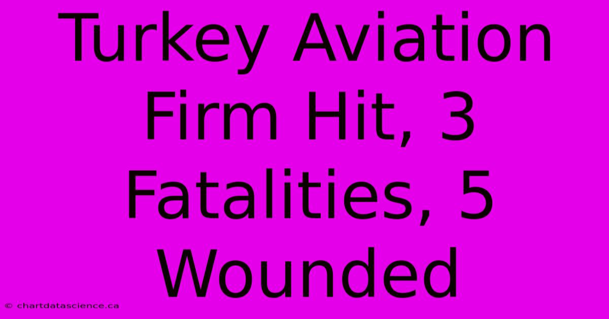 Turkey Aviation Firm Hit, 3 Fatalities, 5 Wounded