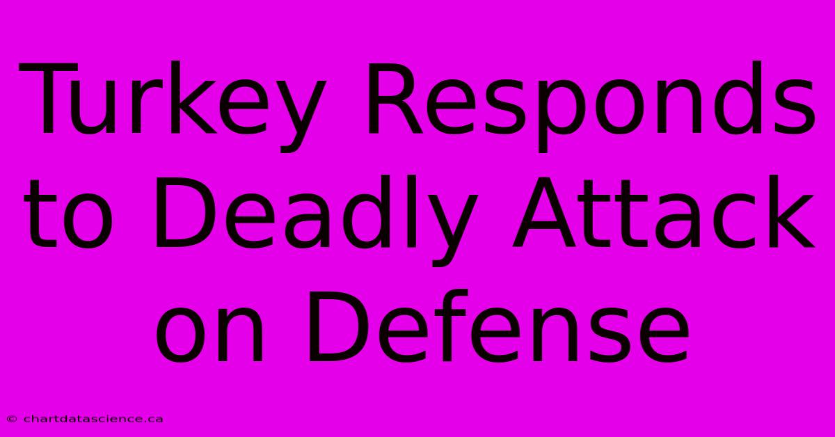 Turkey Responds To Deadly Attack On Defense