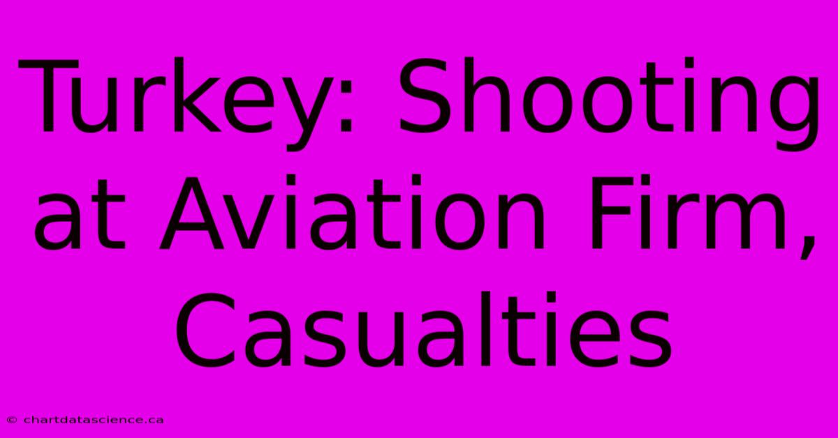 Turkey: Shooting At Aviation Firm, Casualties