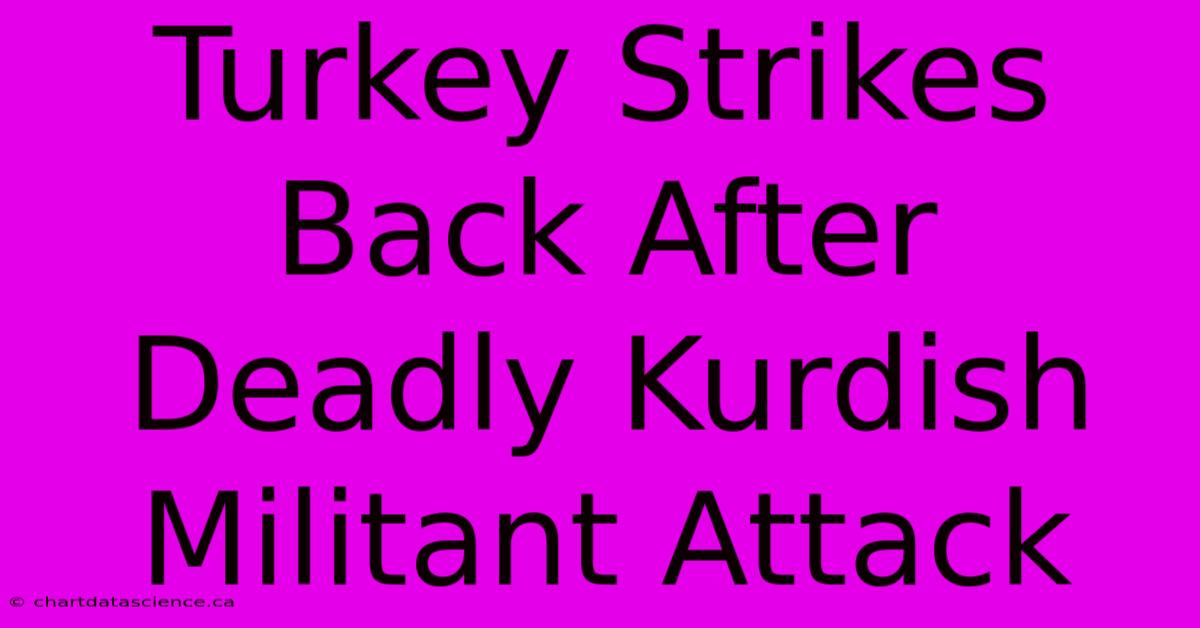 Turkey Strikes Back After Deadly Kurdish Militant Attack