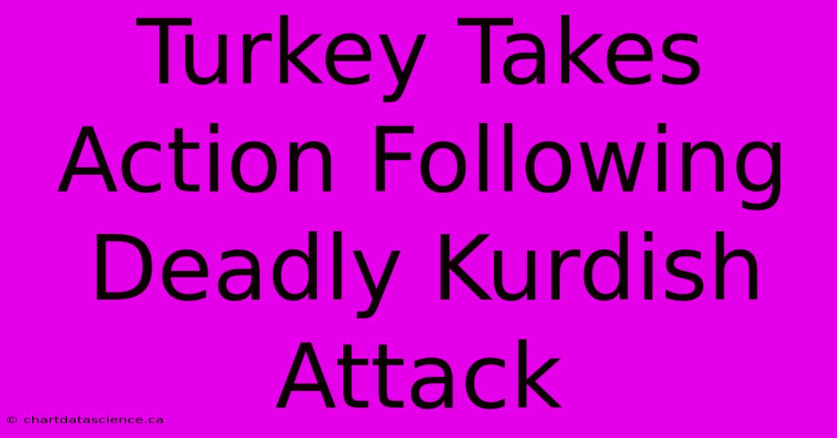 Turkey Takes Action Following Deadly Kurdish Attack