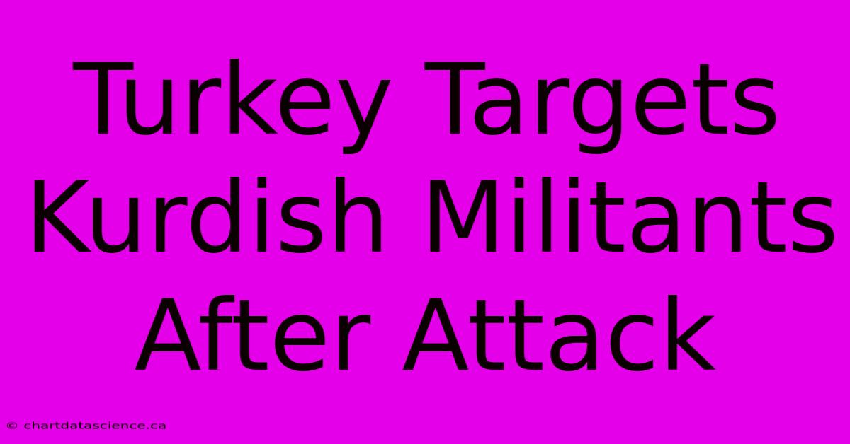 Turkey Targets Kurdish Militants After Attack