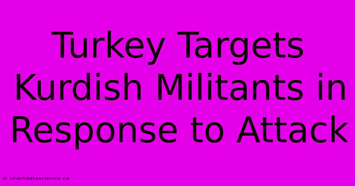 Turkey Targets Kurdish Militants In Response To Attack 