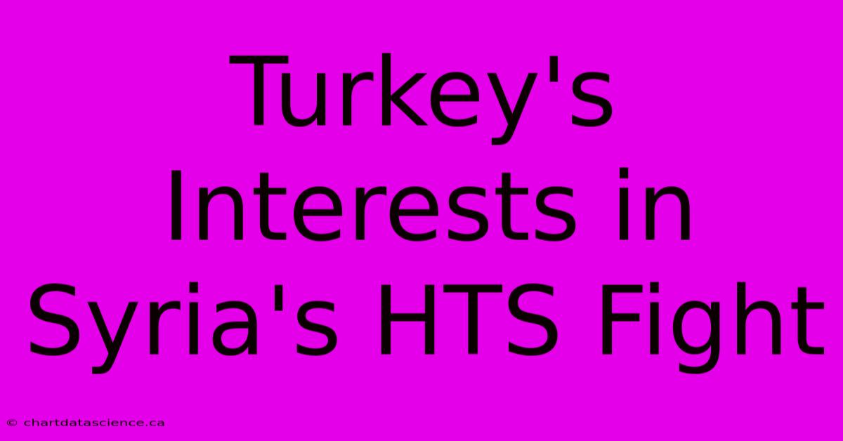 Turkey's Interests In Syria's HTS Fight