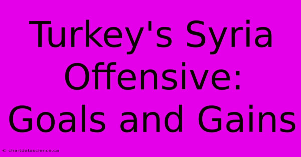 Turkey's Syria Offensive: Goals And Gains