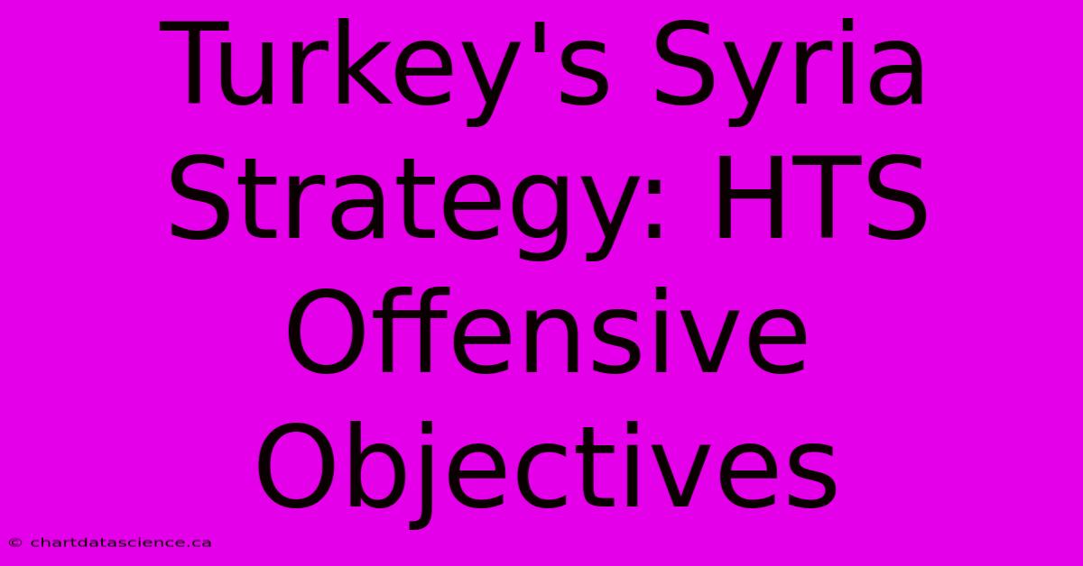 Turkey's Syria Strategy: HTS Offensive Objectives