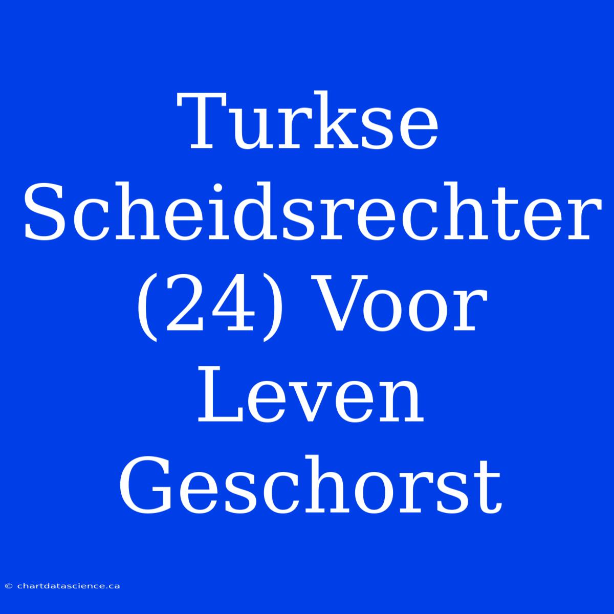 Turkse Scheidsrechter (24) Voor Leven Geschorst