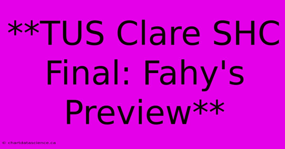 **TUS Clare SHC Final: Fahy's Preview**