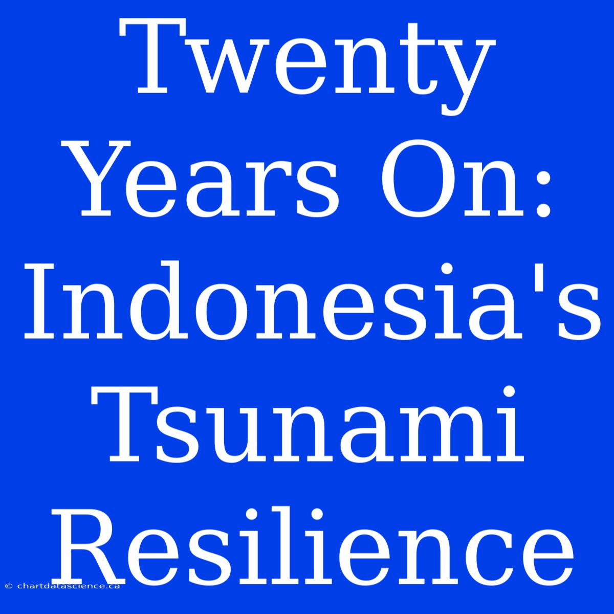 Twenty Years On: Indonesia's Tsunami Resilience