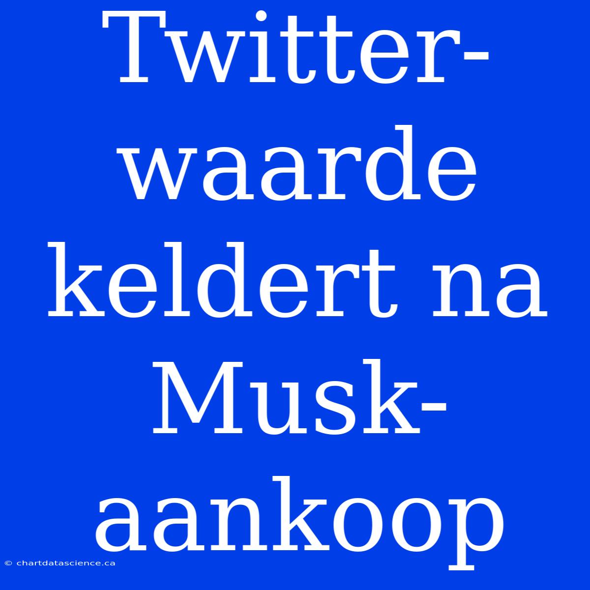 Twitter-waarde Keldert Na Musk-aankoop