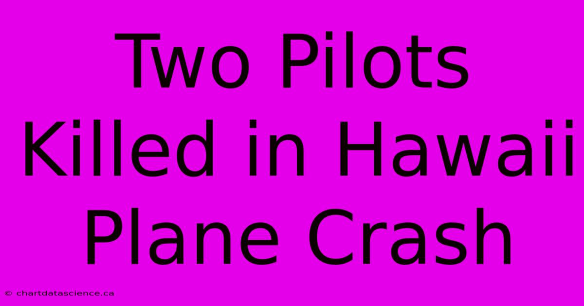 Two Pilots Killed In Hawaii Plane Crash