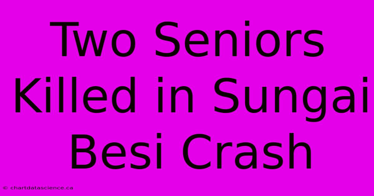 Two Seniors Killed In Sungai Besi Crash