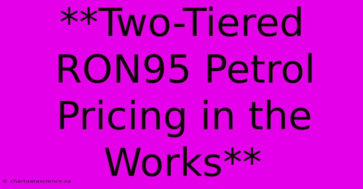 **Two-Tiered RON95 Petrol Pricing In The Works** 