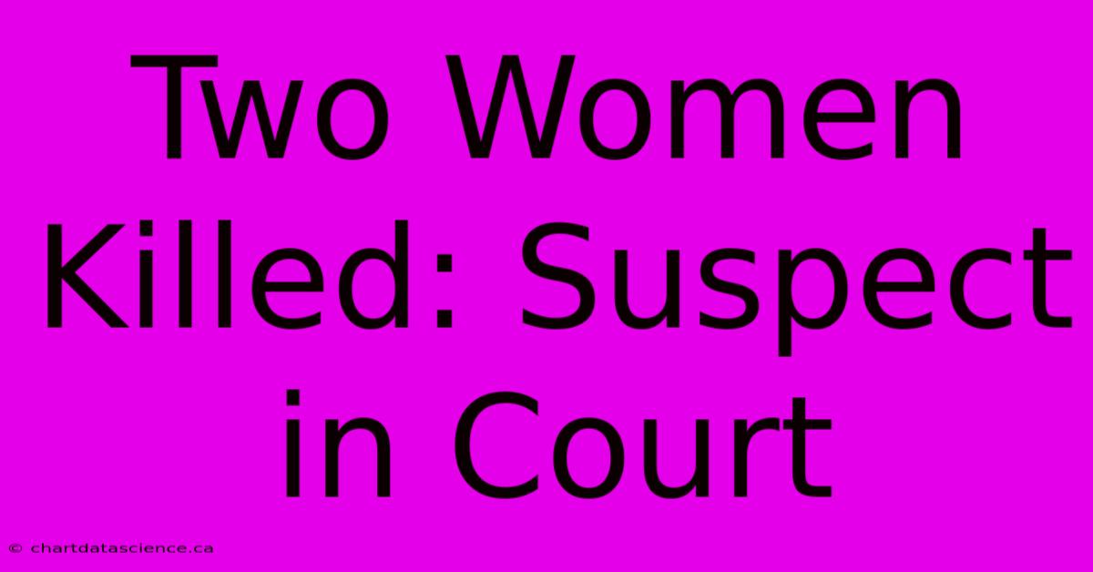 Two Women Killed: Suspect In Court