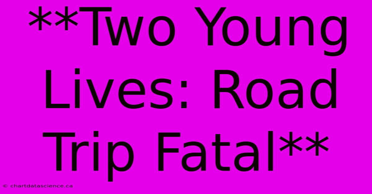 **Two Young Lives: Road Trip Fatal** 