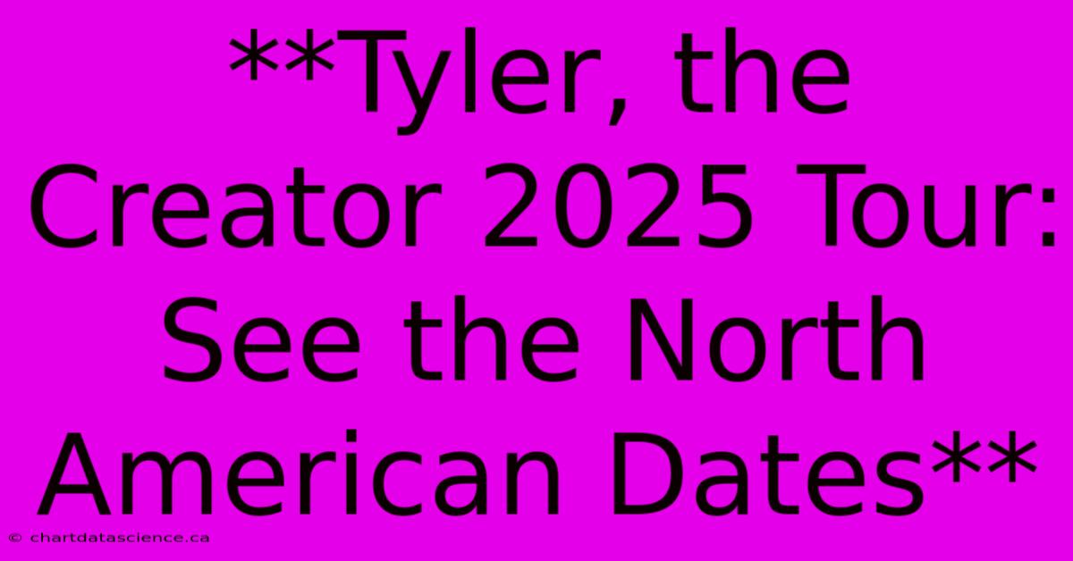 **Tyler, The Creator 2025 Tour: See The North American Dates**