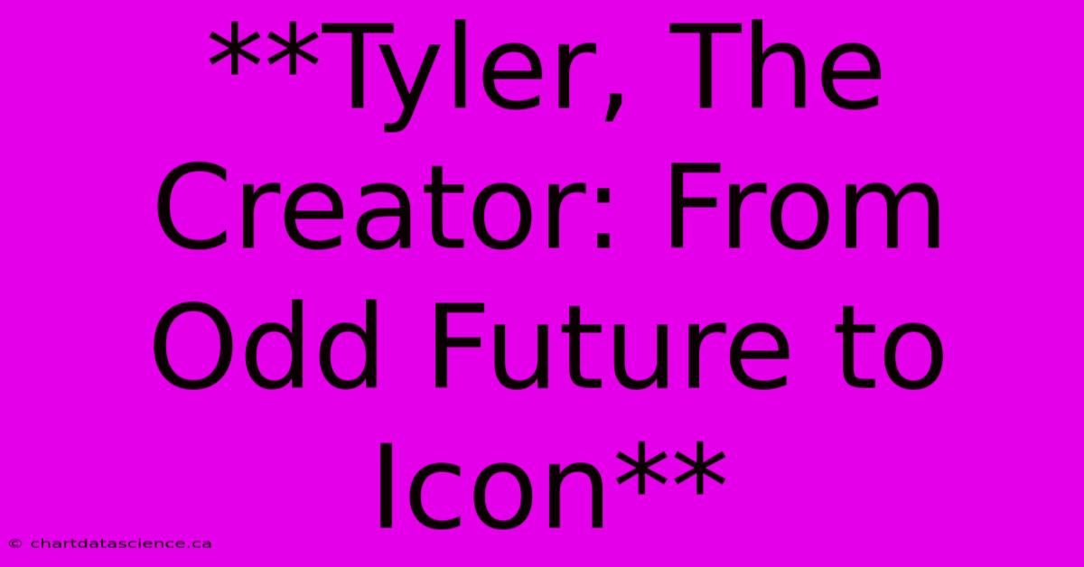 **Tyler, The Creator: From Odd Future To Icon** 