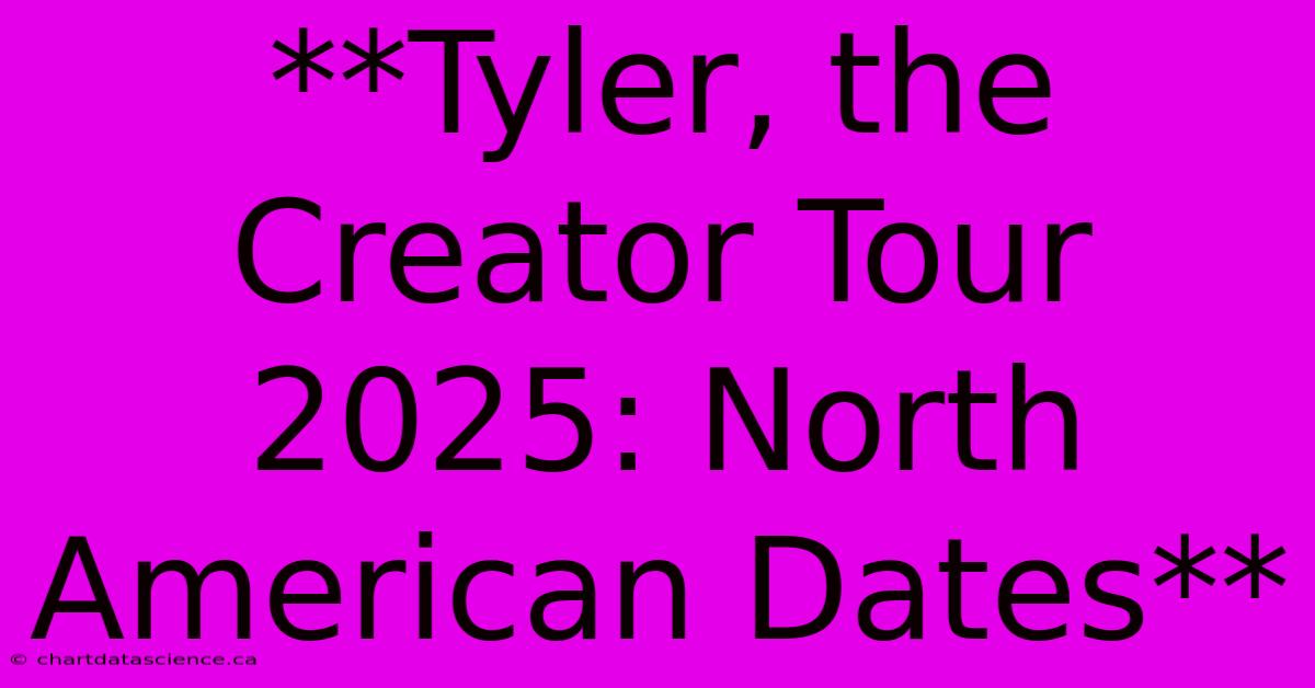 **Tyler, The Creator Tour 2025: North American Dates** 